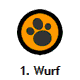 1. Wurf