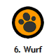 6. Wurf